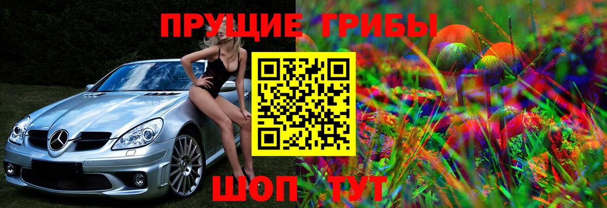 продажа наркотиков  Псилоцибиновые грибы мухоморы  Вход с VPN  Советская Гавань 