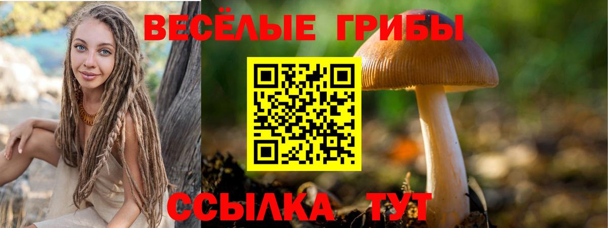 Псилоцибиновые грибы мицелий Советская Гавань